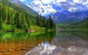 LUIZ CARLOS DE OLIVEIRA DARDES