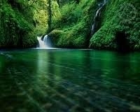 VANDA APARECIDA MARIA