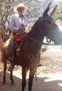 OSWALDO PEREIRA DE ALMEIDA