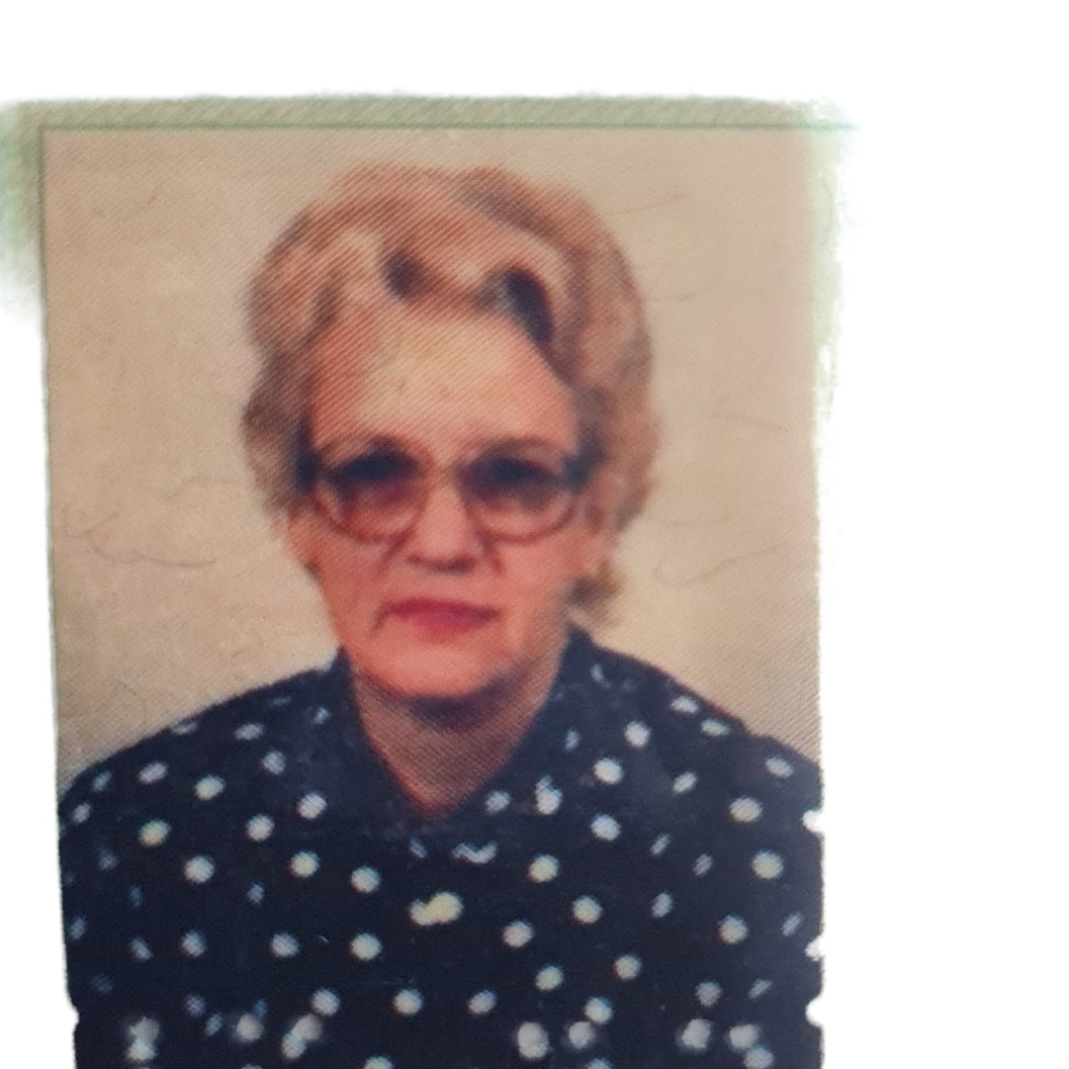 JACI ARAUJO ALBIASETTI