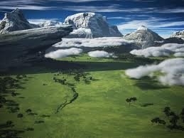 MARCILIA ANDRADE  MENDES 